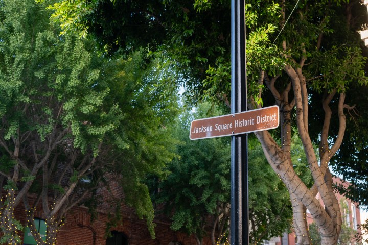a street sign hanging from a tree